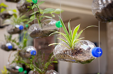 HOW TO RECYCLE THINGS